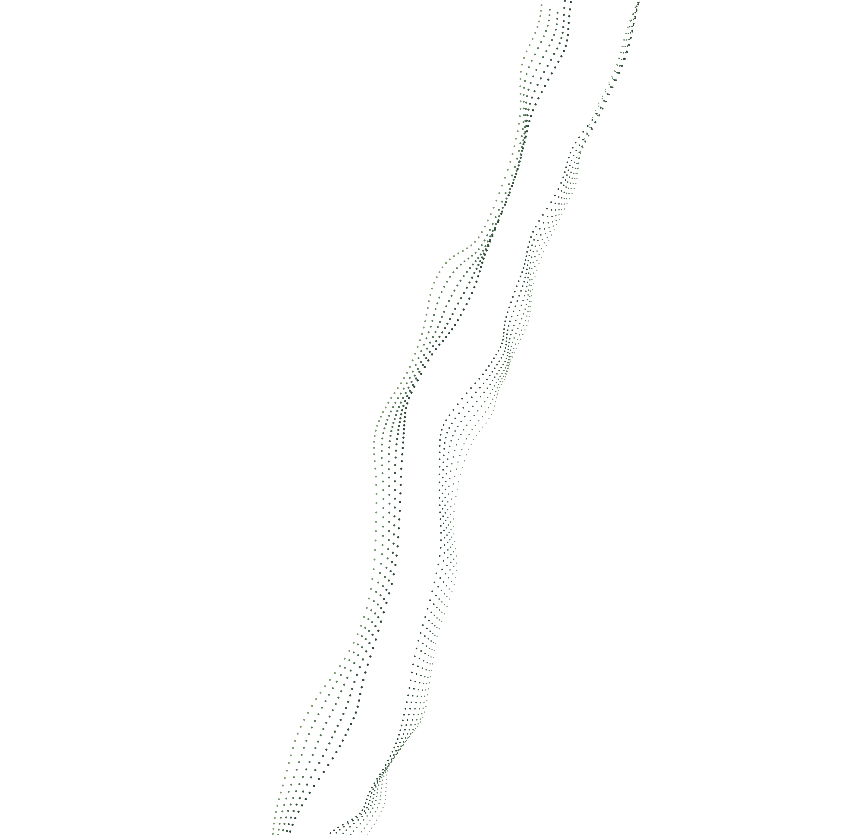 middle